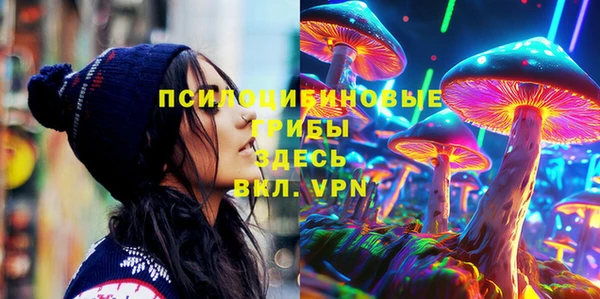 МДПВ Алексин