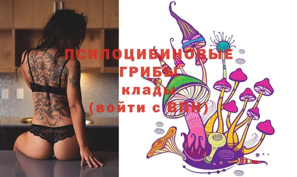 круглые Алексеевка
