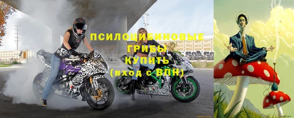 МДПВ Алексин